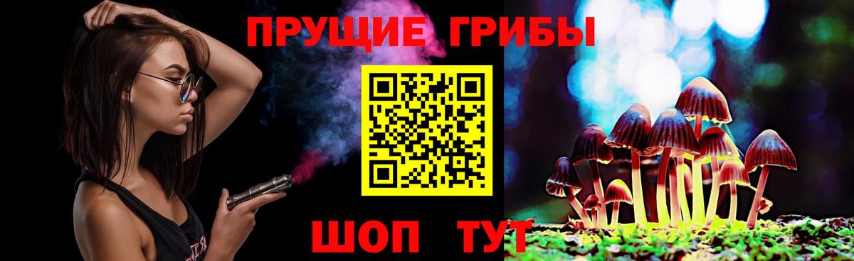 Элиста  Галлюциногенные грибы прущие грибы  Вход с VPN 